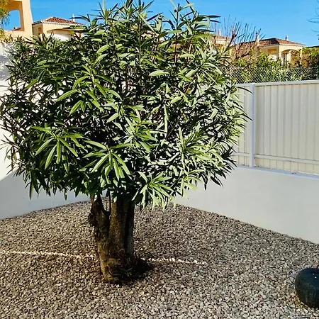 Vila Lili By Check-in Portugal *