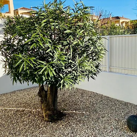 Villa Lili By Check-in Portugal *
